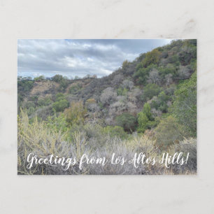 Grüße aus Los Altos Hills! Postkarte