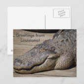 Grüße aus Louisiana Postkarte (Vorne/Hinten)