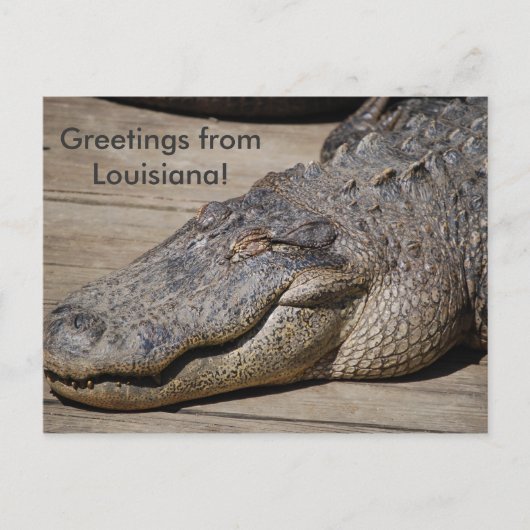 Grüße aus Louisiana Postkarte (Vorderseite)