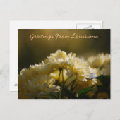 Grüße aus Louisiana Postkarte (Vorne/Hinten)