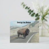 Grüße aus Montana Postkarte (Stehend Vorderseite)