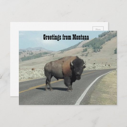 Grüße aus Montana Postkarte (Vorne/Hinten)
