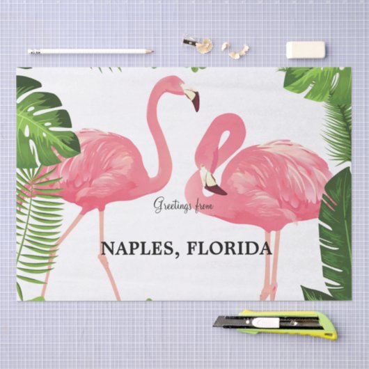 Grüße aus Neapel, Florida Seidenpapier (Handwerk)