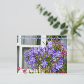 Grüße aus Neuseeland Postkarte (Stehend Vorderseite)