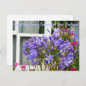 Grüße aus Neuseeland Postkarte (Vorne/Hinten)