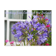 Grüße aus Neuseeland