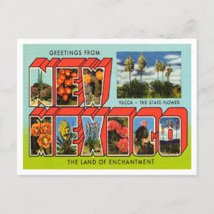 Grüße aus New Mexico Vintage Travel Postkarte