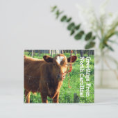 Grüße aus North Carolina! Postkarte (Stehend Vorderseite)