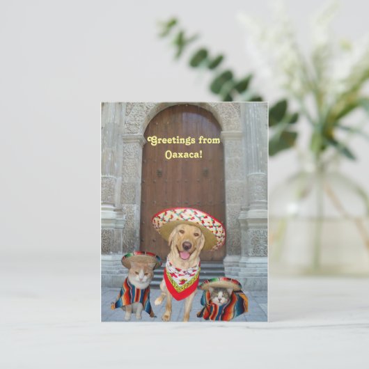 Grüße aus Oaxaca Postkarte (Stehend Vorderseite)