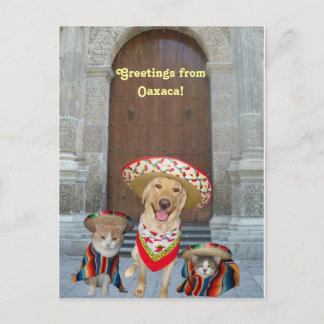 Grüße aus Oaxaca Postkarte