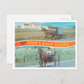 Grüße aus Ohios Amish-Land, Ohio Postkarte (Vorne/Hinten)