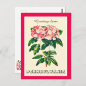 Grüße aus Pennsylvania Berg Laurel Postkarte (Vorne/Hinten)