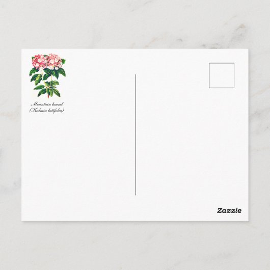 Grüße aus Pennsylvania Berg Laurel Postkarte (Rückseite)