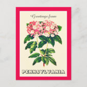 Grüße aus Pennsylvania Berg Laurel Postkarte (Vorderseite)