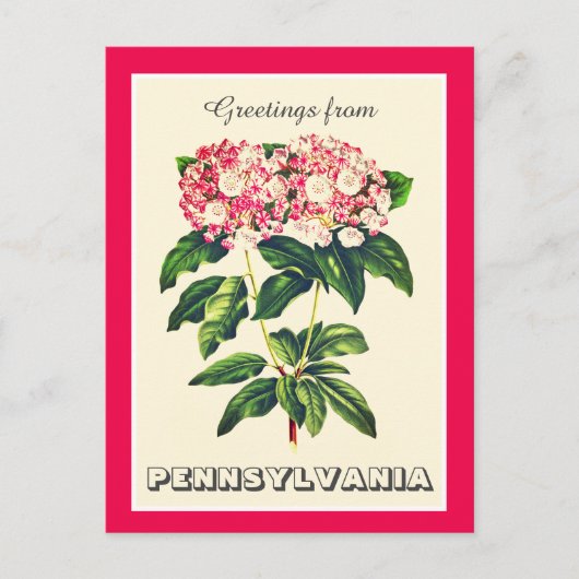 Grüße aus Pennsylvania Berg Laurel Postkarte (Vorderseite)