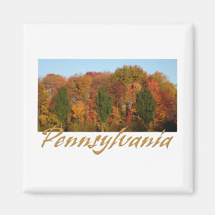 Grüße aus Pennsylvania Magnet