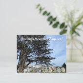 Grüße aus San Francisco! Postkarte (Stehend Vorderseite)