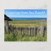 Grüße aus Sea Ranch Postkarte (Vorderseite)