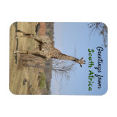 Grüße aus Südafrika Magnet (Horizontal)