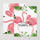 Grüße aus Tampa, FL Postkarte (Vorne/Hinten)