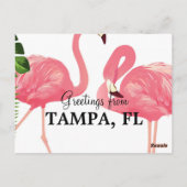 Grüße aus Tampa, FL Postkarte (Rückseite)