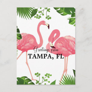 Grüße aus Tampa, FL Postkarte