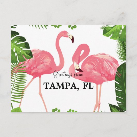 Grüße aus Tampa, Florida Postkarte (Vorderseite)