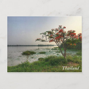 Grüße aus Thailand Postkarte
