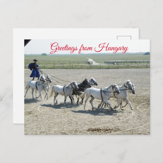 Grüße aus Ungarn Postkarte (Vorne/Hinten)