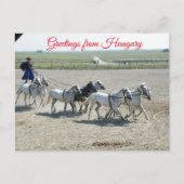 Grüße aus Ungarn Postkarte (Vorderseite)