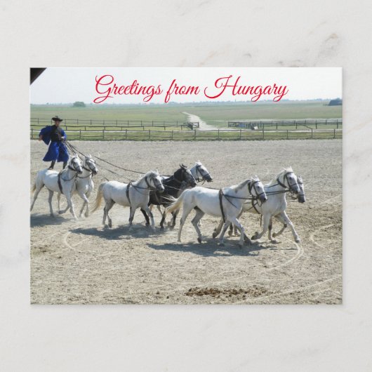 Grüße aus Ungarn Postkarte (Vorderseite)