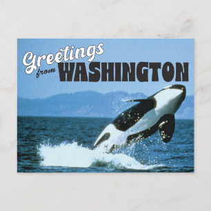 Grüße aus Washington Staat mit Orca Whale Postkarte