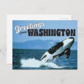 Grüße aus Washington Staat mit Orca Whale Postkarte (Vorne/Hinten)