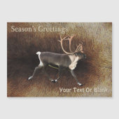 Grüße der Saison - Bull Caribbean (Rentier) Magnetkarte (Vorderseite)