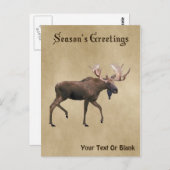 Grüße der Saison - Bull Moose auf altem Papier Postkarte (Vorne/Hinten)