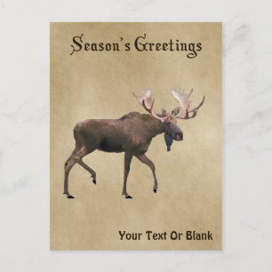Grüße der Saison - Bull Moose auf altem Papier Postkarte