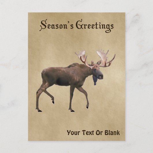 Grüße der Saison - Bull Moose auf altem Papier Postkarte (Vorderseite)