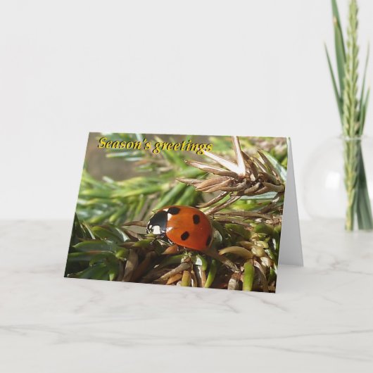 Grüße der Saison Feiertagskarte (Vorderseite)