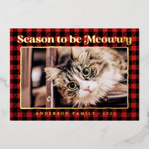 Grüße der Saison Kariert Funny Pet Cat Foto Folien Feiertagskarte