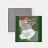 Grüße der Saison - White Bindweed Magnet (Vorderseite/Rückseite)