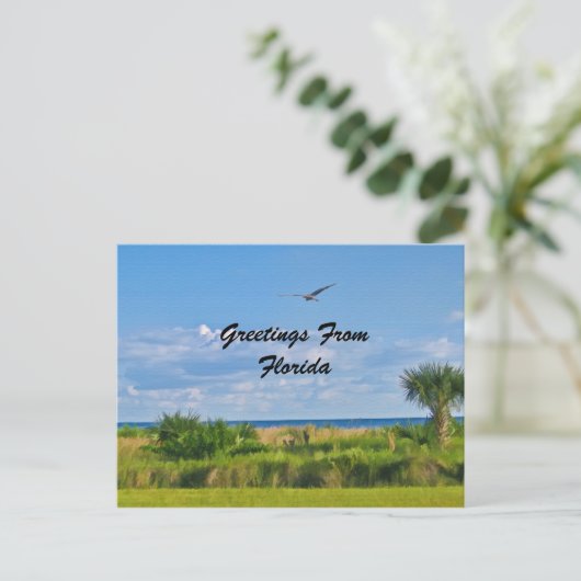 Grüße, Florida, Postkarte (Stehend Vorderseite)