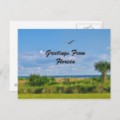 Grüße, Florida, Postkarte (Vorne/Hinten)