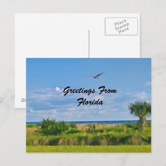 Grüße, Florida, Postkarte (Vorne/Hinten)