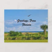 Grüße, Florida, Postkarte (Vorderseite)