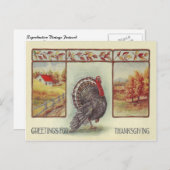 Grüße für Erntedank Feiertagspostkarte (Vorne/Hinten)
