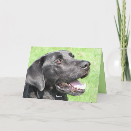 Grüße Karte (Rückseite)