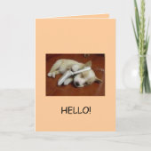 Grüße! Karte (Vorderseite)