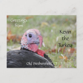 Grüße Kevin Türkei - Old Wethersfield, CT Postkarte