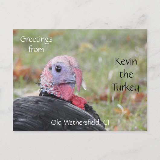 Grüße Kevin Türkei - Old Wethersfield, CT Postkarte (Vorderseite)