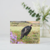 Grüße Kevin Türkei - Old Wethersfield, CT Postkarte (Stehend Vorderseite)